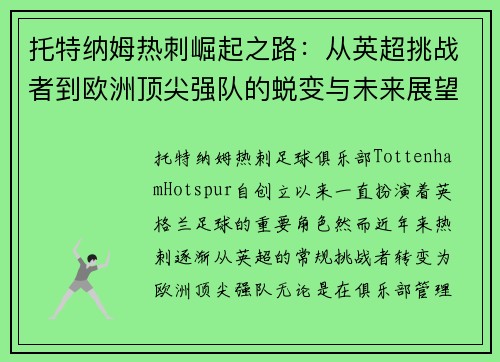 托特纳姆热刺崛起之路:从英超挑战者到欧洲顶尖强队的蜕变与未来展望