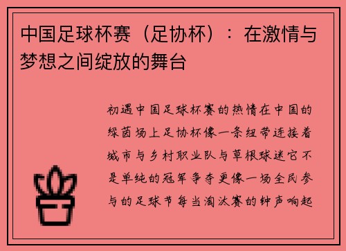 中国足球杯赛（足协杯）：在激情与梦想之间绽放的舞台