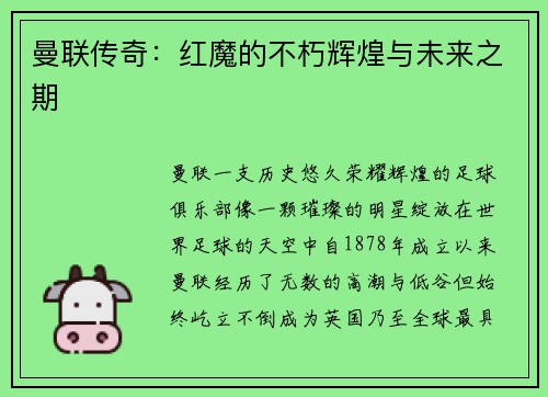 曼联传奇：红魔的不朽辉煌与未来之期